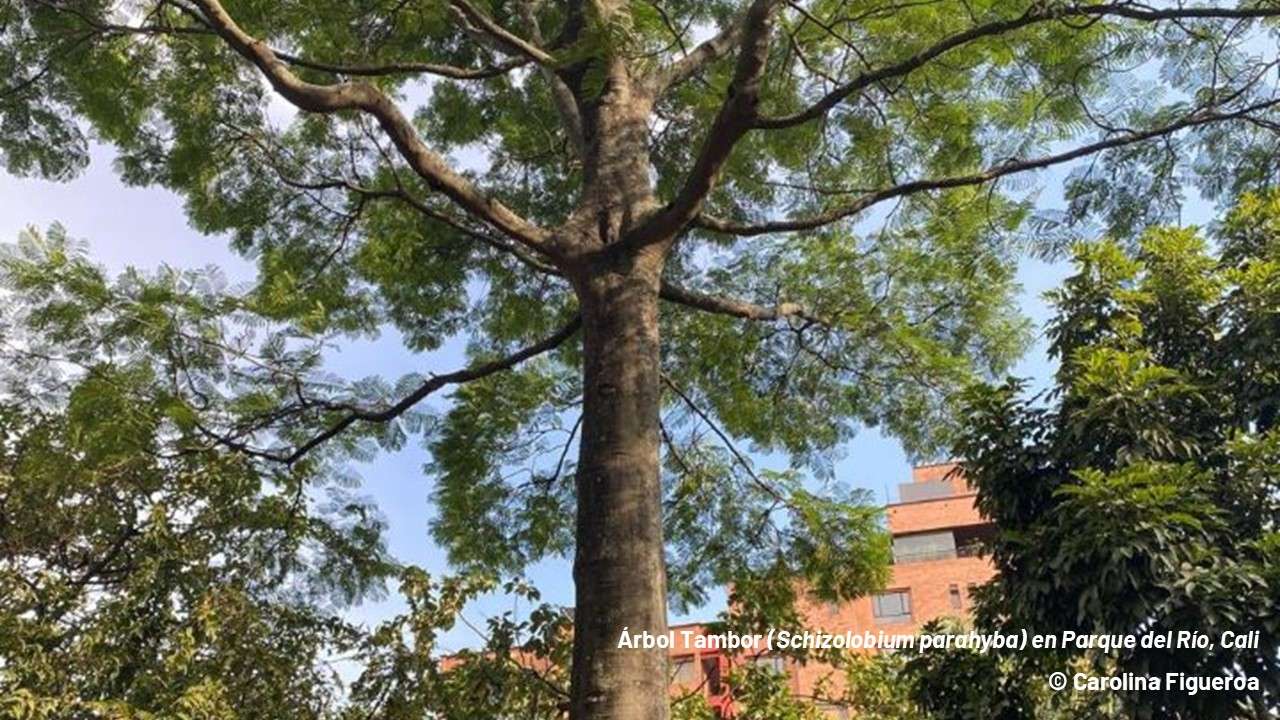 6Cfe8d54a52e2515f00bd41c6b32632c